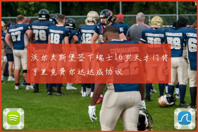 沃尔夫斯堡签下瑞士16岁天才门将亨里克费尔达达成协议