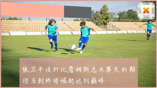 张卫平谈科比詹姆斯总决赛失利期待马刺终将崛起达到巅峰