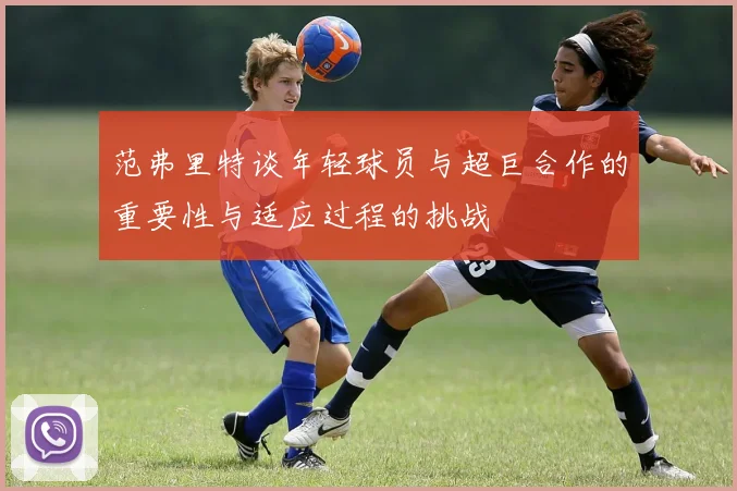 范弗里特谈年轻球员与超巨合作的重要性与适应过程的挑战