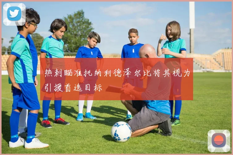 热刺瞄准托纳利德泽尔比将其视为引援首选目标