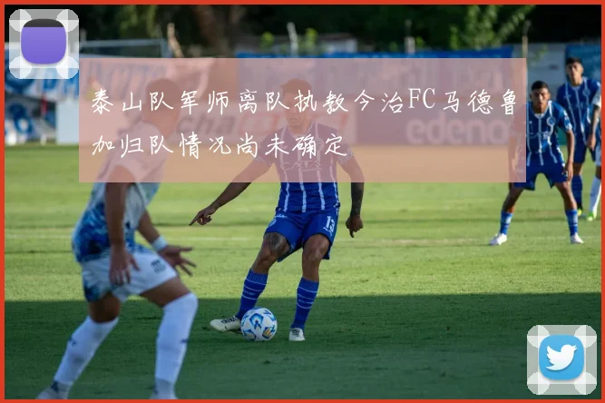 泰山队军师离队执教今治FC马德鲁加归队情况尚未确定
